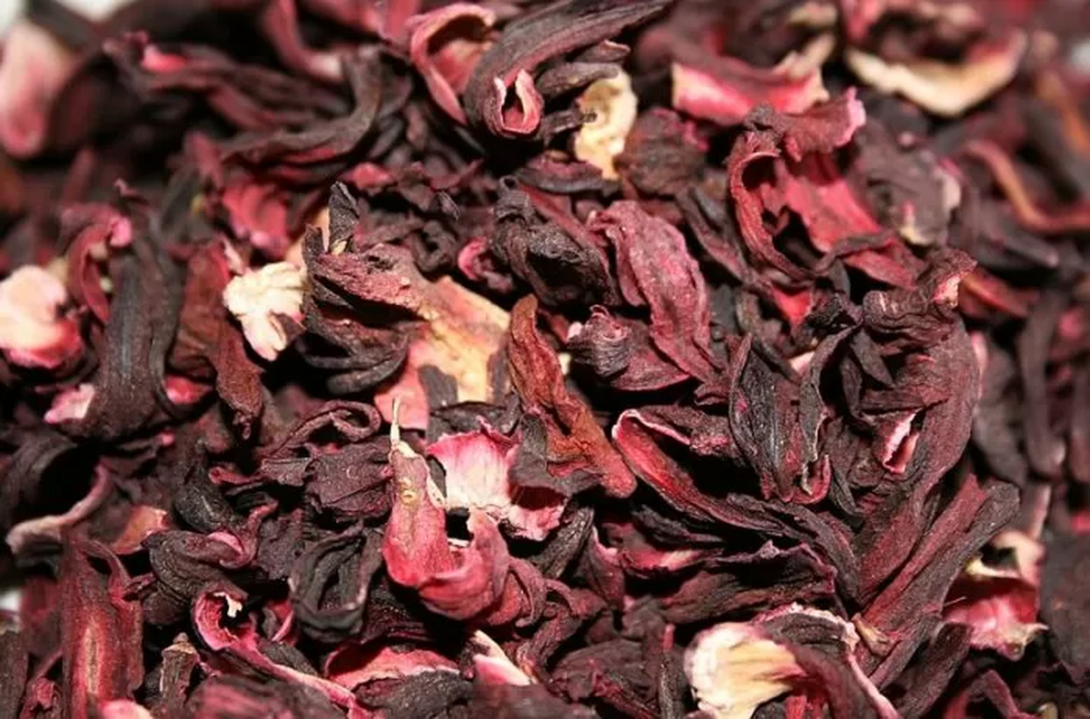 El té hibisco, una flor vistosa que, tomada en infusión, dispone de diversos beneficios. El té hibisco, una flor vistosa que, tomada en infusión, dispone de diversos beneficios. 