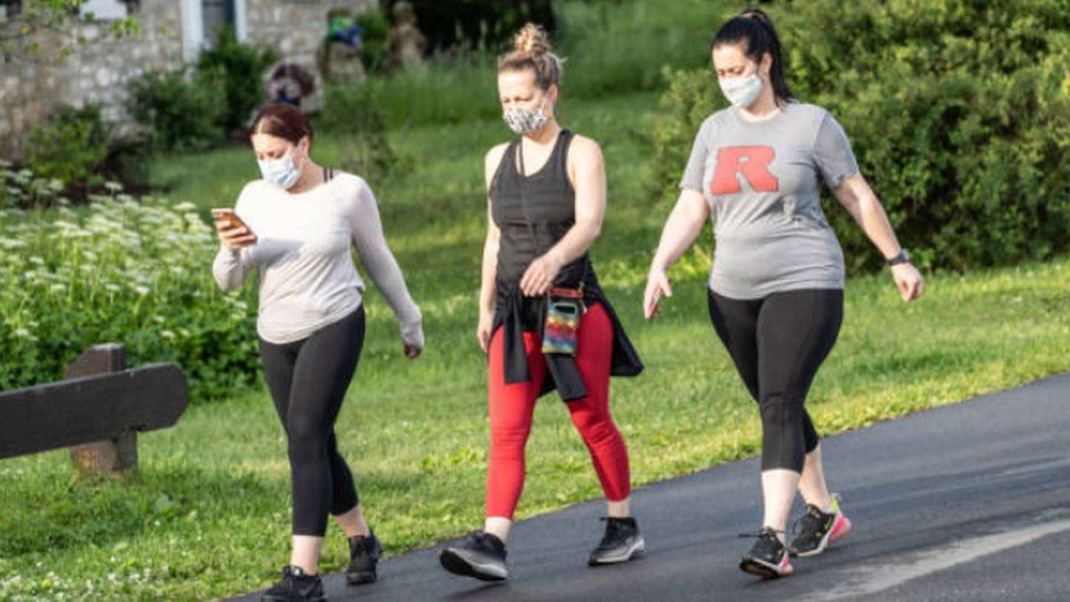 Salir regularmente a caminar refuerza el sistema inmunitario y reduce el riesgo de padecer enfermedades cardiovasculares