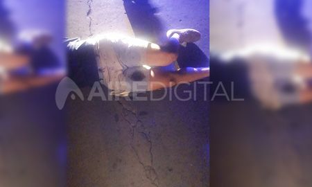 Herido. La víctima del asalto quedó tirada en el asfalto a causa del ataque. Herido. La víctima del asalto quedó tirada en el asfalto a causa del ataque.