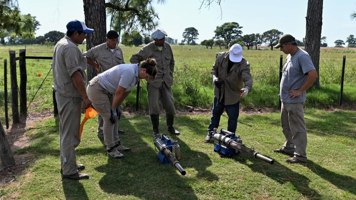 La Provincia asistió a la comuna del departamento Garay con insumos, capacitación y tareas en terreno ante la alta densidad de mosquitos registrada en la zona. La Provincia asistió a la comuna del departamento Garay con insumos, capacitación y tareas en terreno ante la alta densidad de mosquitos registrada en la zona.