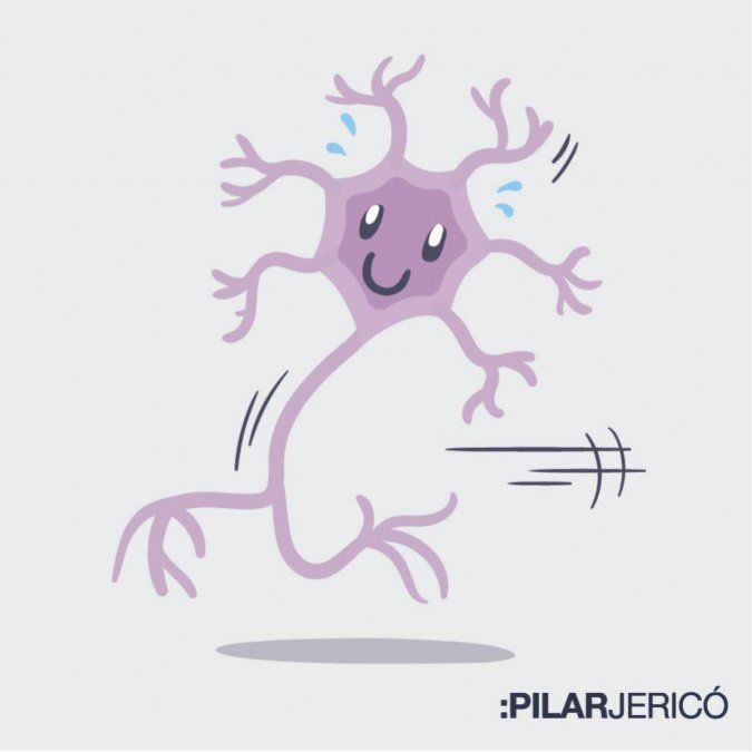 neuronas.jpg