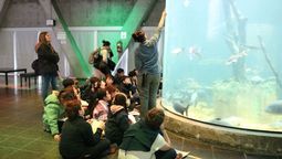 altText(El Acuario del Río Paraná abre la convocatoria 2026 para visitas educativas)}