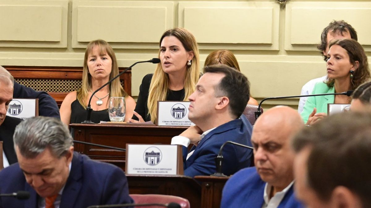 Lionella Cattalini, diputada provincial y presidenta de la Comisión Bicameral de Acuerdos de la Legislatura de la Provincia de Santa Fe. Lionella Cattalini, diputada provincial y presidenta de la Comisión Bicameral de Acuerdos de la Legislatura de la Provincia de Santa Fe.