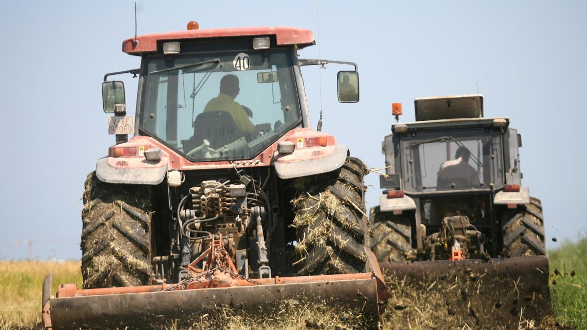 El niño fue trasladado al hospital por diversos politraumatismos graves.