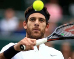 Delincuentes ingresaron a la vivienda del extenista Juan Martín del Potro en Tandil y robaron trofeos, dinero, joyas y objetos de valor. Delincuentes ingresaron a la vivienda del extenista Juan Martín del Potro en Tandil y robaron trofeos, dinero, joyas y objetos de valor.