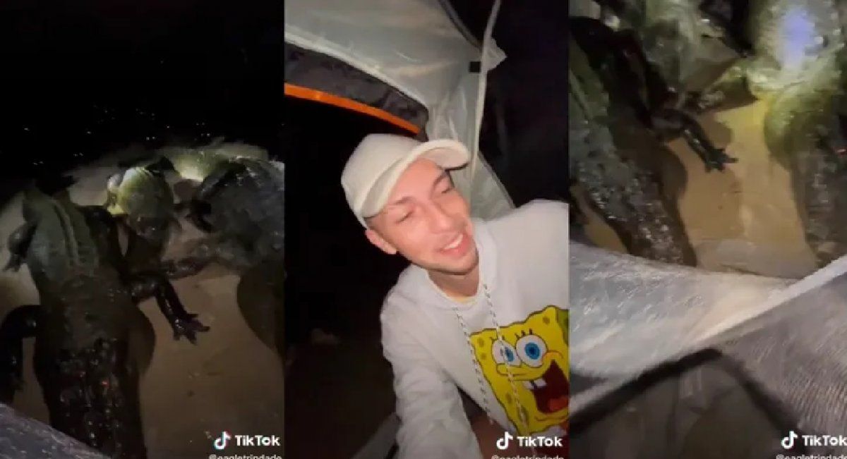 Fue de campamento y se despertó con caimanes alrededor de la carpa