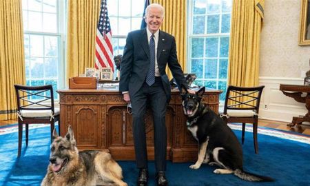 Biden se mudó con sus dos mascotas a la Casa Blanca cuando asumió la presidencia de los Estados Unidos. Biden se mudó con sus dos mascotas a la Casa Blanca cuando asumió la presidencia de los Estados Unidos.