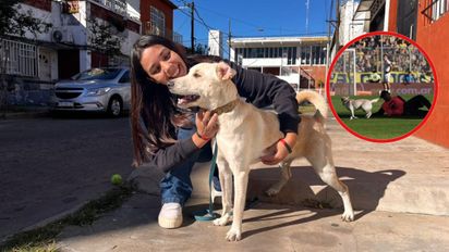 La increíble historia de COCO, el perro que interrumpió el partido de Rosario Central: 