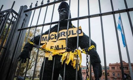 hebe de bonafini colgo un gorila en la plaza de mayo y tildo a macri de ?machirulo? hebe de bonafini colgo un gorila en la plaza de mayo y tildo a macri de ?machirulo?