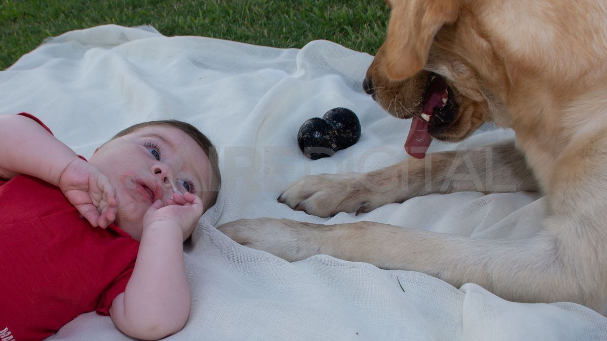 Conrado junto a Fidel, su perro.