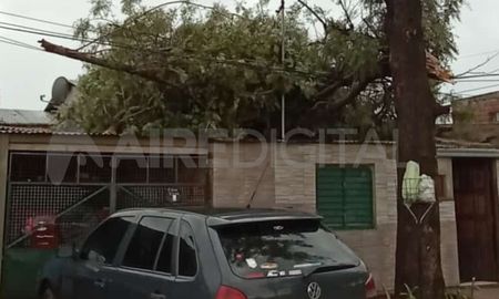 Parte de un árbol se desplomó sobre una casa en Callejón Funes 5500 Parte de un árbol se desplomó sobre una casa en Callejón Funes 5500