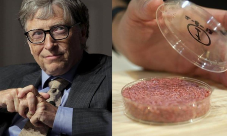 Bill Gates dijo que para salvar la Tierra los países ricos sólo deberían comer carne sintética Bill Gates dijo que para salvar la Tierra los países ricos sólo deberían comer carne sintética