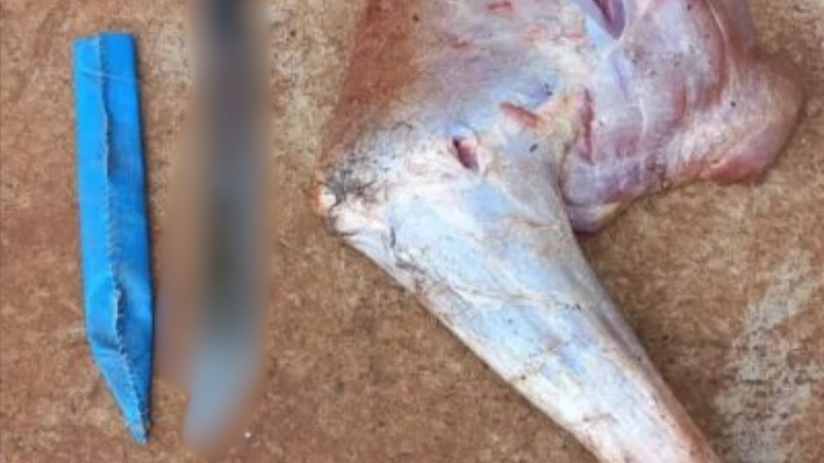 El cuchillo estilo faca que la Policía le secuestró al acusado. El cuchillo estilo faca que la Policía le secuestró al acusado.