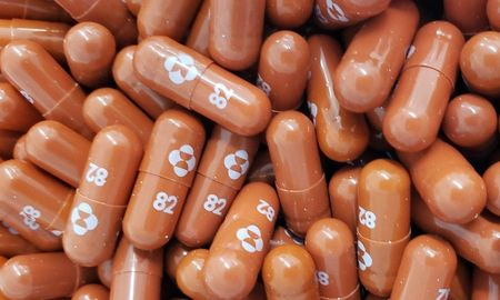 La pastilla, que se aprueba en momentos en que el Reino Unido lidia con una avalancha récord de casos de coronavirus de la nueva variante Ómicron, se toma en combinación con otro antiviral, el ritonavir, que ralentiza la descomposición de la droga. La pastilla, que se aprueba en momentos en que el Reino Unido lidia con una avalancha récord de casos de coronavirus de la nueva variante Ómicron, se toma en combinación con otro antiviral, el ritonavir, que ralentiza la descomposición de la droga.