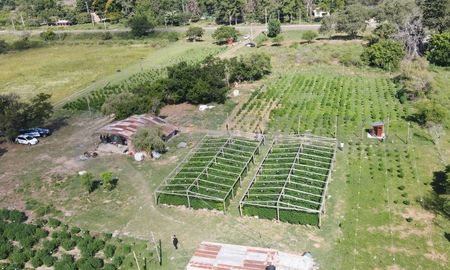 Las impactantes imágenes del vivero narco en Arroyo Leyes captadas por el equipo de AIRE. Las impactantes imágenes del vivero narco en Arroyo Leyes captadas por el equipo de AIRE.
