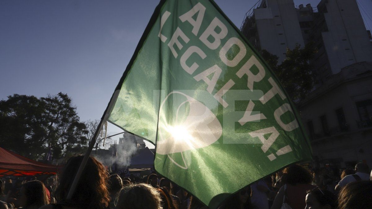 El proyecto establece que toda mujer u otras identidades con capacidad de gestar tendrán derecho a decidir voluntariamente y acceder a la interrupción de su embarazo hasta las 14 semanas del proceso gestacional.