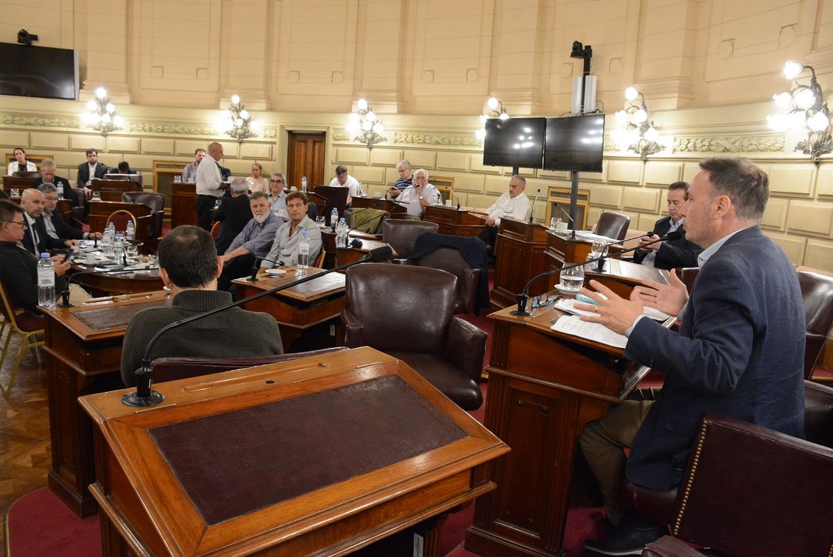 Brilloni concurrió a la legislatura para acordar las pautas de la ley de Emergencia en Seguridad.