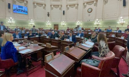 religion, comida y derechos animales: otros ejes del debate por la reforma constitucional