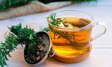Los beneficios de las plantas medicinales para la salud. Los beneficios de las plantas medicinales para la salud.