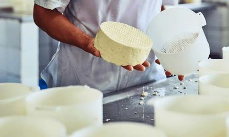 cambios en la industria lactea: el auge del suero tensiona al queso y reconfigura el negocio cambios en la industria lactea: el auge del suero tensiona al queso y reconfigura el negocio