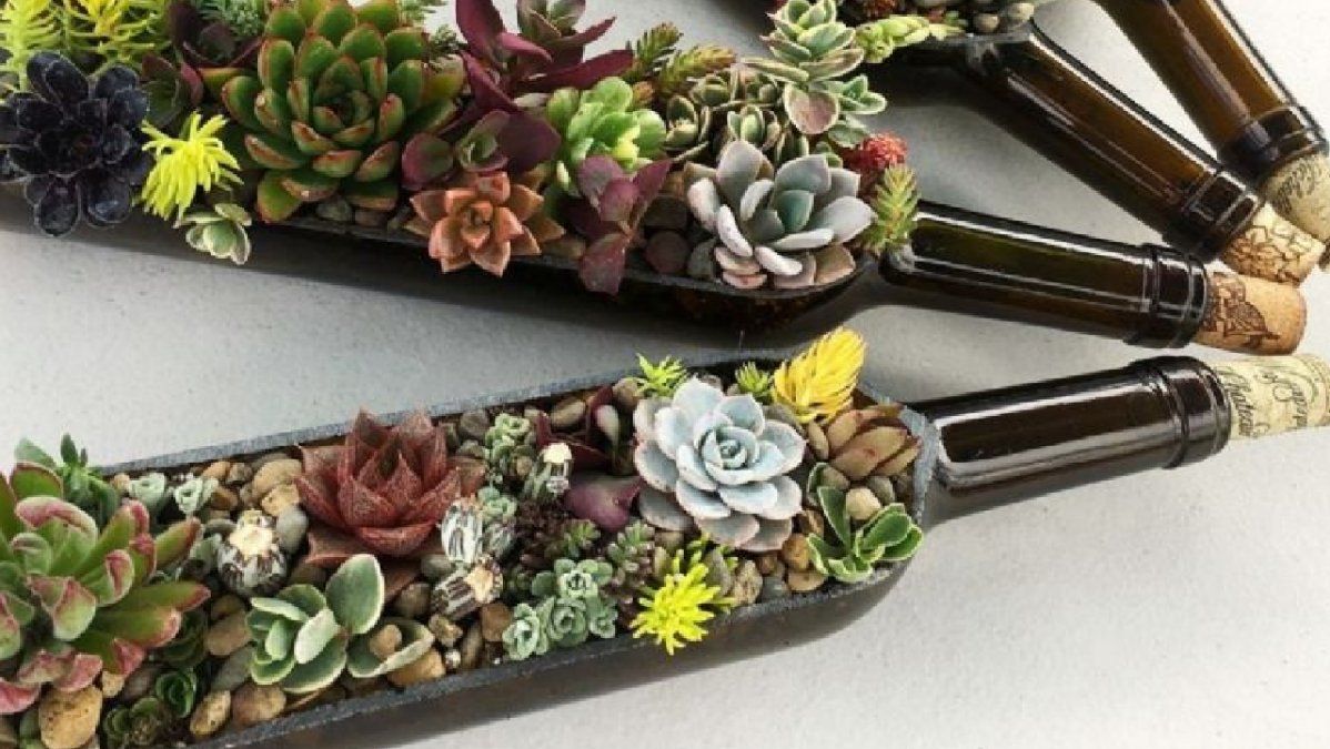 Macetas para suculentas con botellas de vino