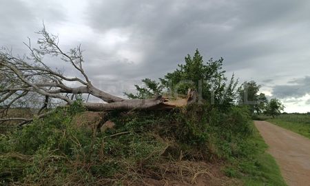 Los destrozos que provocó el gustnado en Cayastá este fin de semana. Los destrozos que provocó el gustnado en Cayastá este fin de semana.