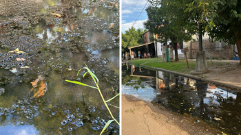 Cloacas rebalsadas en barrio Los Hornos: vecinos denuncian meses de agua servida y riesgo sanitario