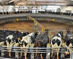 SIL 2026: Rafaela pone en agenda los desafíos de una lechería que busca más eficiencia y consensos SIL 2026: Rafaela pone en agenda los desafíos de una lechería que busca más eficiencia y consensos