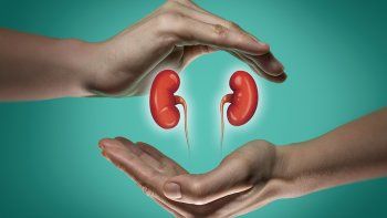 Día Mundial del Riñón: realizarán chequeos gratuitos en la Plaza del Soldado