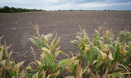 Los cálculos indican que, como consecuencia de la sequía, el país perderá entre 10 mil a 14 mil millones de dólares este año. Los cálculos indican que, como consecuencia de la sequía, el país perderá entre 10 mil a 14 mil millones de dólares este año.