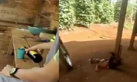 Emborracharon a un nene de 3 años, lo filmaron y se burlaron de él Emborracharon a un nene de 3 años, lo filmaron y se burlaron de él