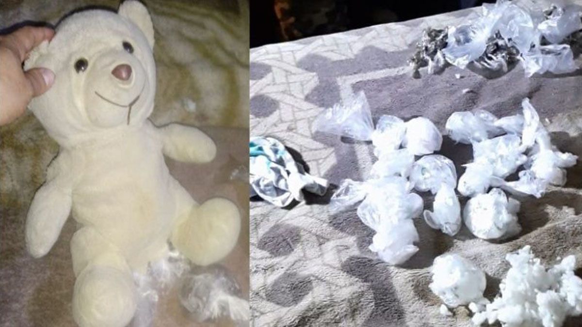 Detuvieron a cuatro personas que ocultaban droga en un osito de peluche