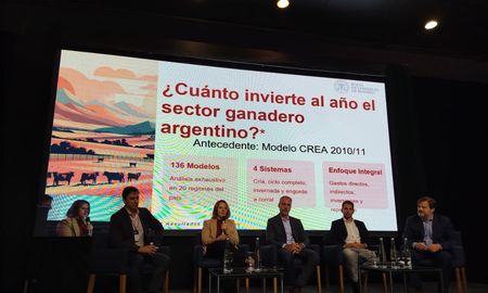 producir carne demanda 20.300 millones de dolares al ano y la reposicion de stock domina el gasto producir carne demanda 20.300 millones de dolares al ano y la reposicion de stock domina el gasto