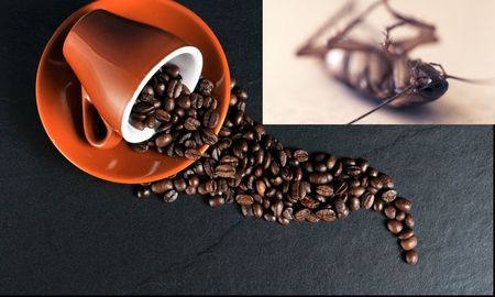 Un médico del Reino Unido asegura que los granos del café poseen retos de cucarachas y otros insectos. Un médico del Reino Unido asegura que los granos del café poseen retos de cucarachas y otros insectos.