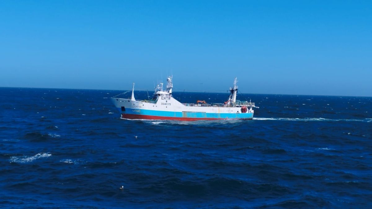 Zona Económica Exclusiva Argentina: detectaron un buque pesquero extranjero con presunta pesca ilegal.