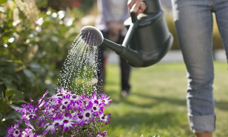 De este modo su planta nunca sufrirá por falta de agua. De este modo su planta nunca sufrirá por falta de agua.
