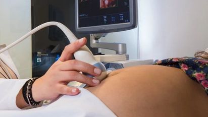 Se conoció cuándo pagará ANSES las Asignaciones por Embarazo de marzo