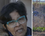 La abuela de Mora pide ayuda para el tratamiento. La abuela de Mora pide ayuda para el tratamiento.