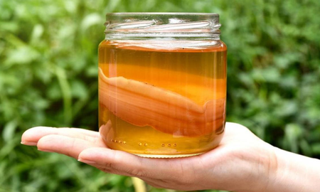 Los secretos del té de kombucha, una bebida ancestral de China. Los secretos del té de kombucha, una bebida ancestral de China.