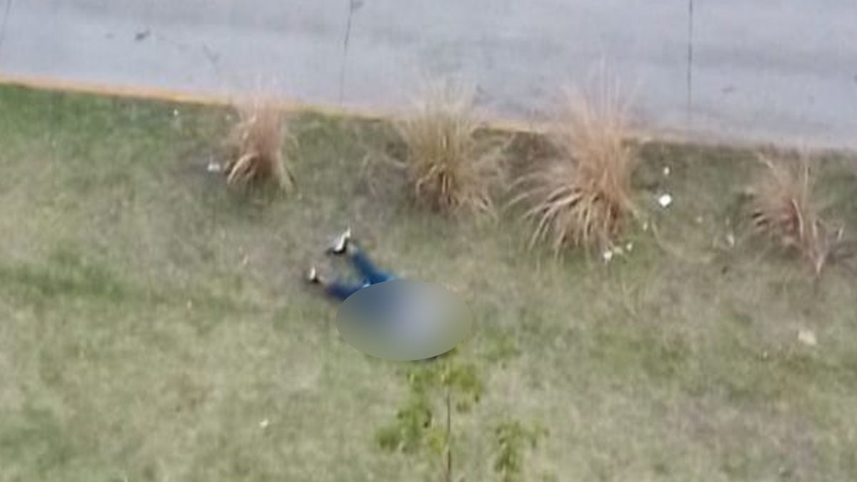 VIDEO: robó una moto, chocó contra un boulevard y lo mató el dueño del vehículo en Haedo