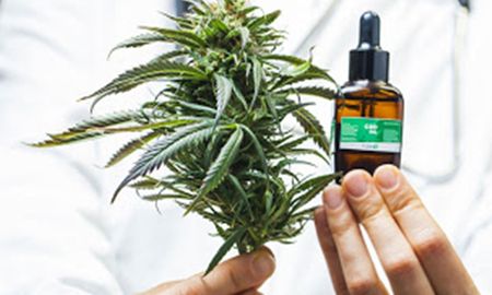 Desde hace meses, las organizaciones cannábicas de la provincia advierten sobre la parálisis del proyecto de autocultivo de cannabis con fines terapéuticos en el Senado santafesino. Desde hace meses, las organizaciones cannábicas de la provincia advierten sobre la parálisis del proyecto de autocultivo de cannabis con fines terapéuticos en el Senado santafesino.
