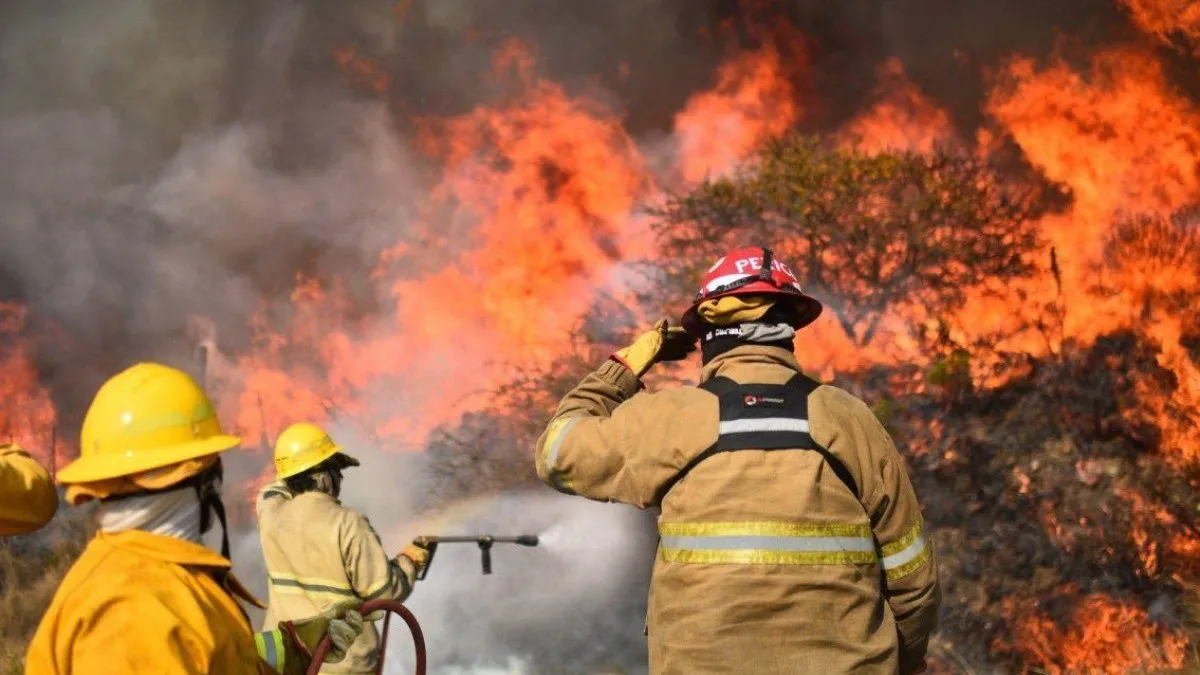 Más de 28.000 hectáreas consumidas por los incendios en territorio santafesino