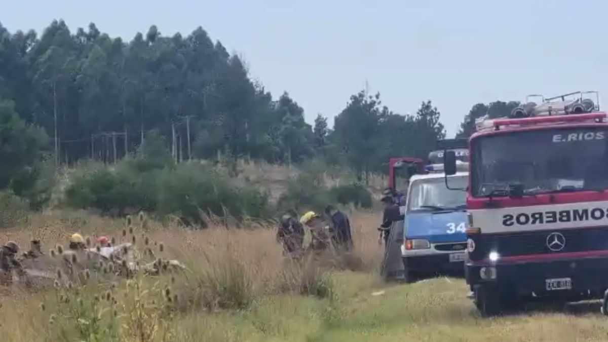 Los conductores de los vehículos fallecieron en el acto, mientras que la mujer embarazada murió al día siguiente en el hospital. Los conductores de los vehículos fallecieron en el acto, mientras que la mujer embarazada murió al día siguiente en el hospital.
