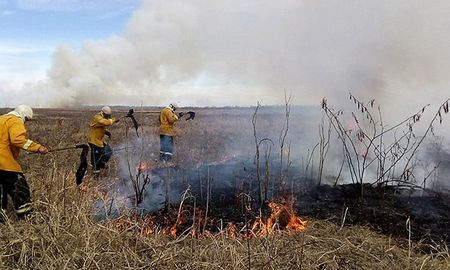Más de 100 brigadistas y personal de apoyo afectado trabaja en el combate de incendios. Más de 100 brigadistas y personal de apoyo afectado trabaja en el combate de incendios.