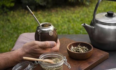 El secreto del mate perfecto 3 plantas de las orillas de Santa Fe. El secreto del mate perfecto 3 plantas de las orillas de Santa Fe.