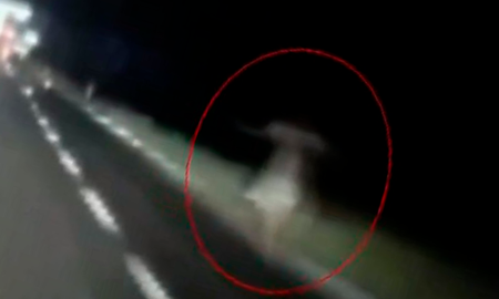 mujer fantasma es grabada corriendo por la carretera mujer fantasma es grabada corriendo por la carretera