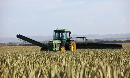 La Legislatura provincial aprobó una ley con beneficios impositivos para quienes migren de los combustibles fósiles a los de origen vegetal. Córdoba está en el mismo camino. Gran noticia para las industrias de biodiesel y pésima para las petroleras. La Legislatura provincial aprobó una ley con beneficios impositivos para quienes migren de los combustibles fósiles a los de origen vegetal. Córdoba está en el mismo camino. Gran noticia para las industrias de biodiesel y pésima para las petroleras.