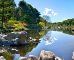 El estatus de Área Natural Protegida resguarda la cuenca del río Los Reartes, garantizando que sus aguas mantengan la transparencia ideal para el buceo recreativo.