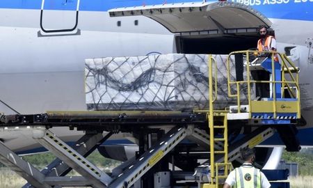 Con un cargamento de 739.440 dosis de Pfizer que llegó el jueves al Aeropuerto Internacional de Ezeiza, Argentina alcanzó las 100.439.835 dosis de vacuna contra la COVID-19. Con un cargamento de 739.440 dosis de Pfizer que llegó el jueves al Aeropuerto Internacional de Ezeiza, Argentina alcanzó las 100.439.835 dosis de vacuna contra la COVID-19.
