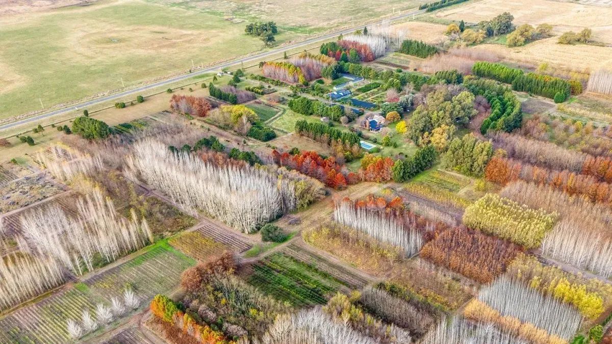 El Vivero Municipal “Eduardo L. Holmberg”, un espacio que ocupa 210 hectáreas y que se convirtió en uno de los más importantes del país. El Vivero Municipal “Eduardo L. Holmberg”, un espacio que ocupa 210 hectáreas y que se convirtió en uno de los más importantes del país.